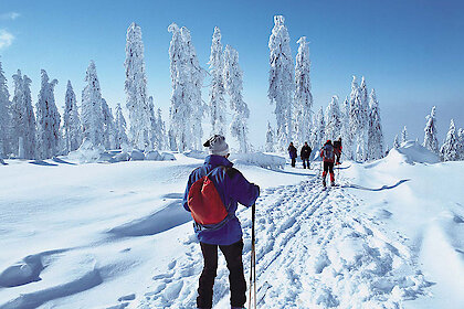 Winterurlaub am Nationalpark Bayerischer Wald